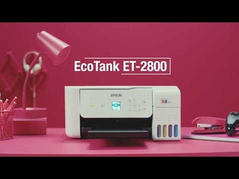 Load video: https://www.youtube.com/watch?v=PfKC19ed0Jo